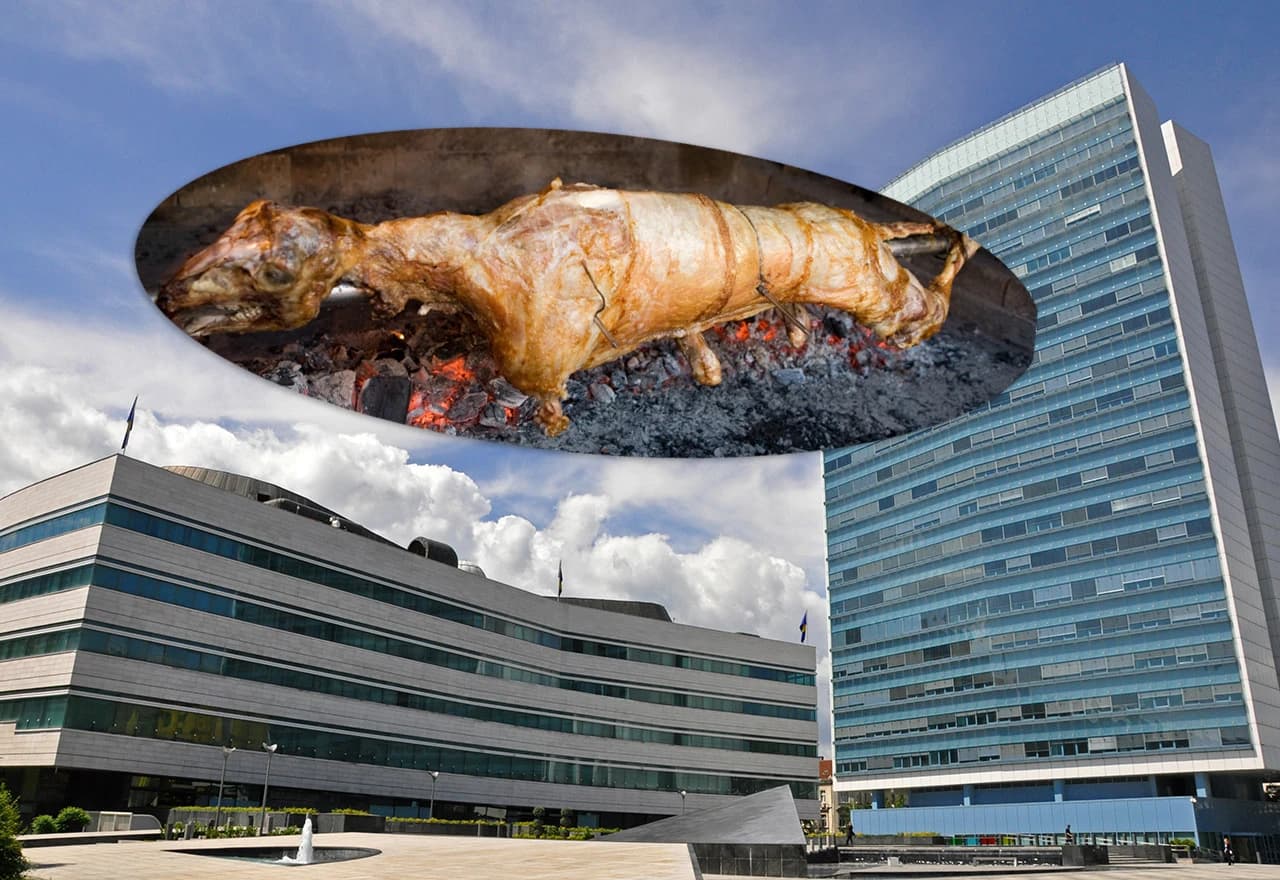 Janjetina i institucije BiH