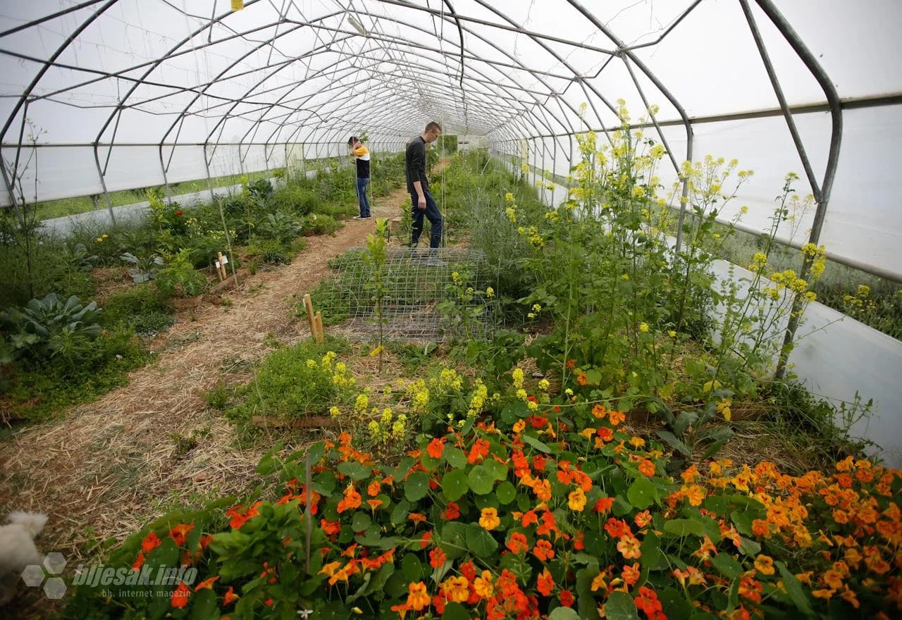 Sve se tako pozicionira da biljka raste u skladu s drugima