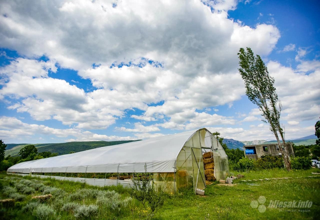 S ovog će mjestauskoro krenuti mala permakulturna revolucija