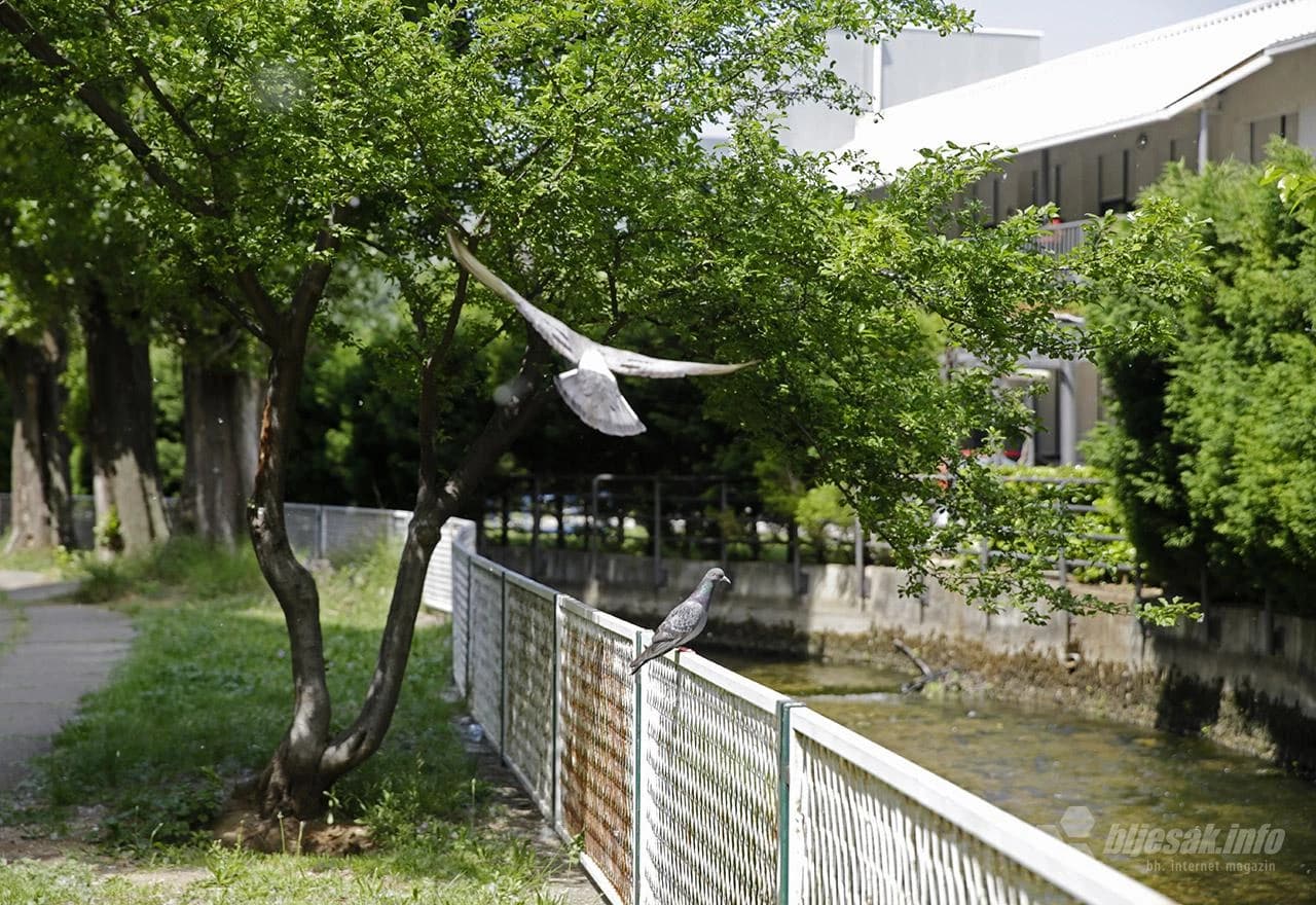 Nema pecati na Radobolji do 2024.