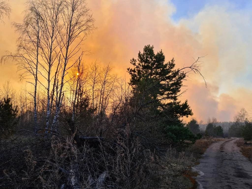 Černobilom haraju šumski požari na 34. obljetnicu katastrofe