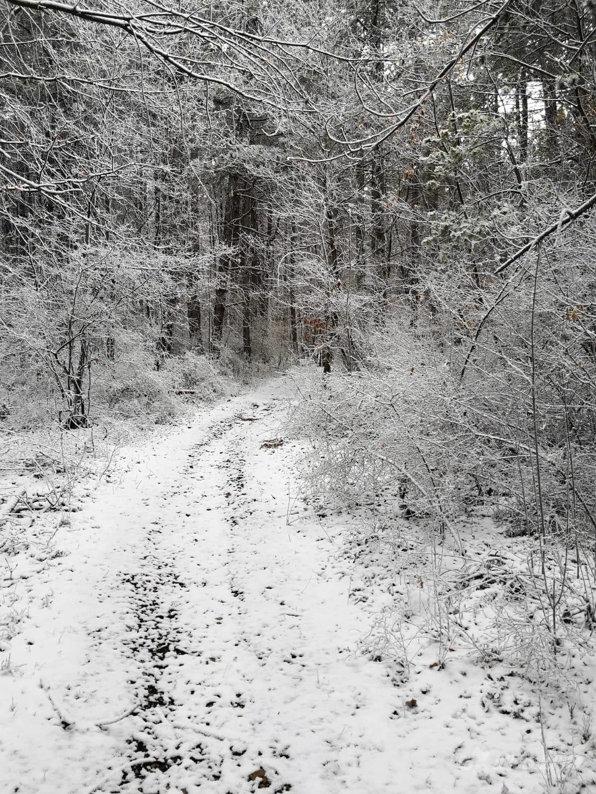 Kologaj kraj Tomislavgrada pod snijegom, 14. travnja 2020.