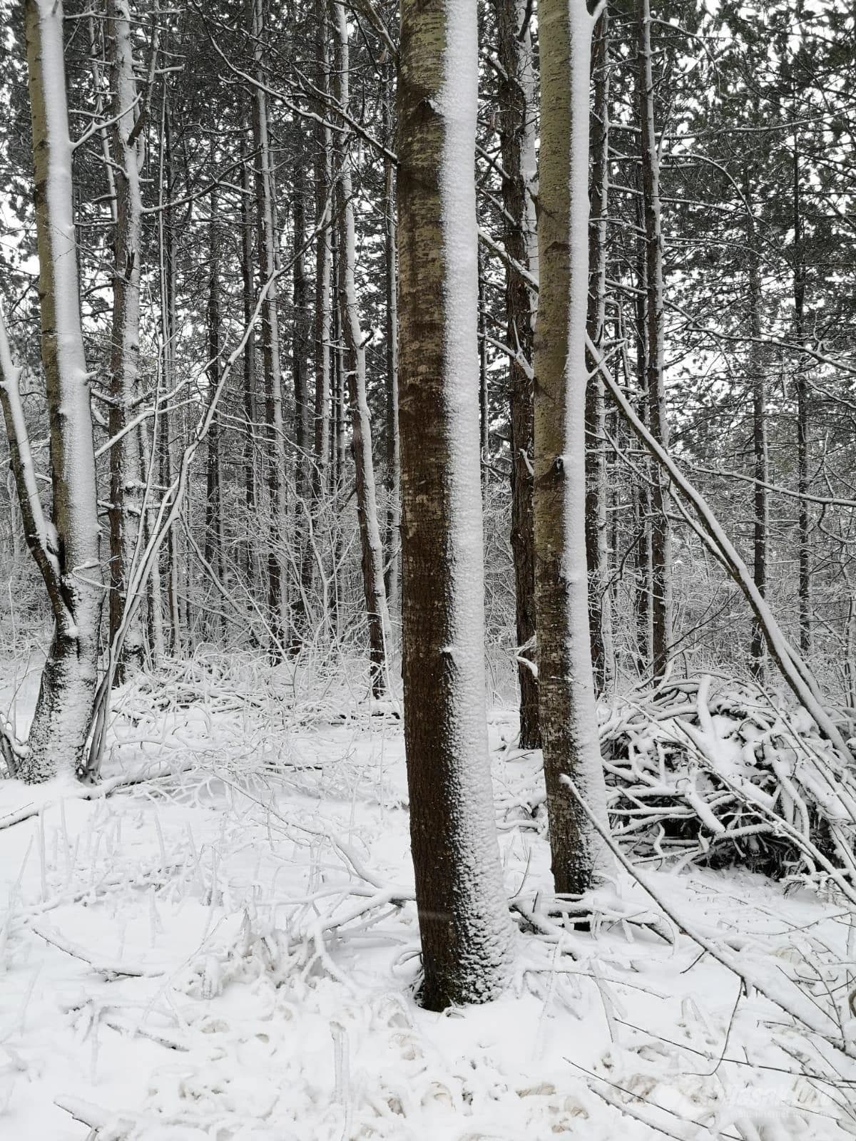 Kologaj kraj Tomislavgrada pod snijegom, 14. travnja 2020.