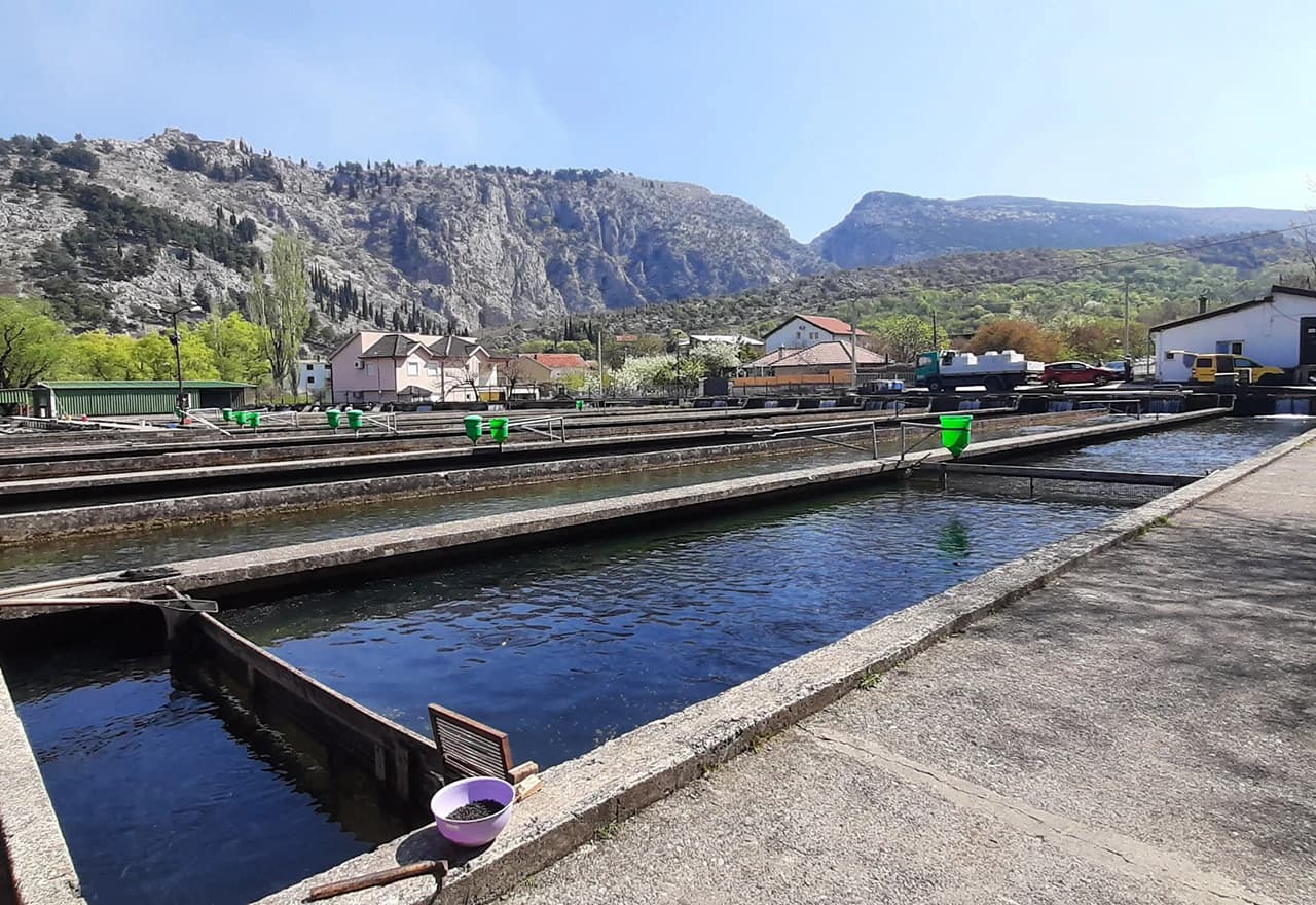 Donacija iz Blagaja za mostarske bolnice