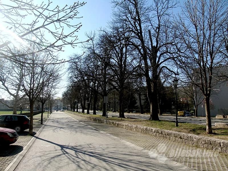 Aleja divljih kestena