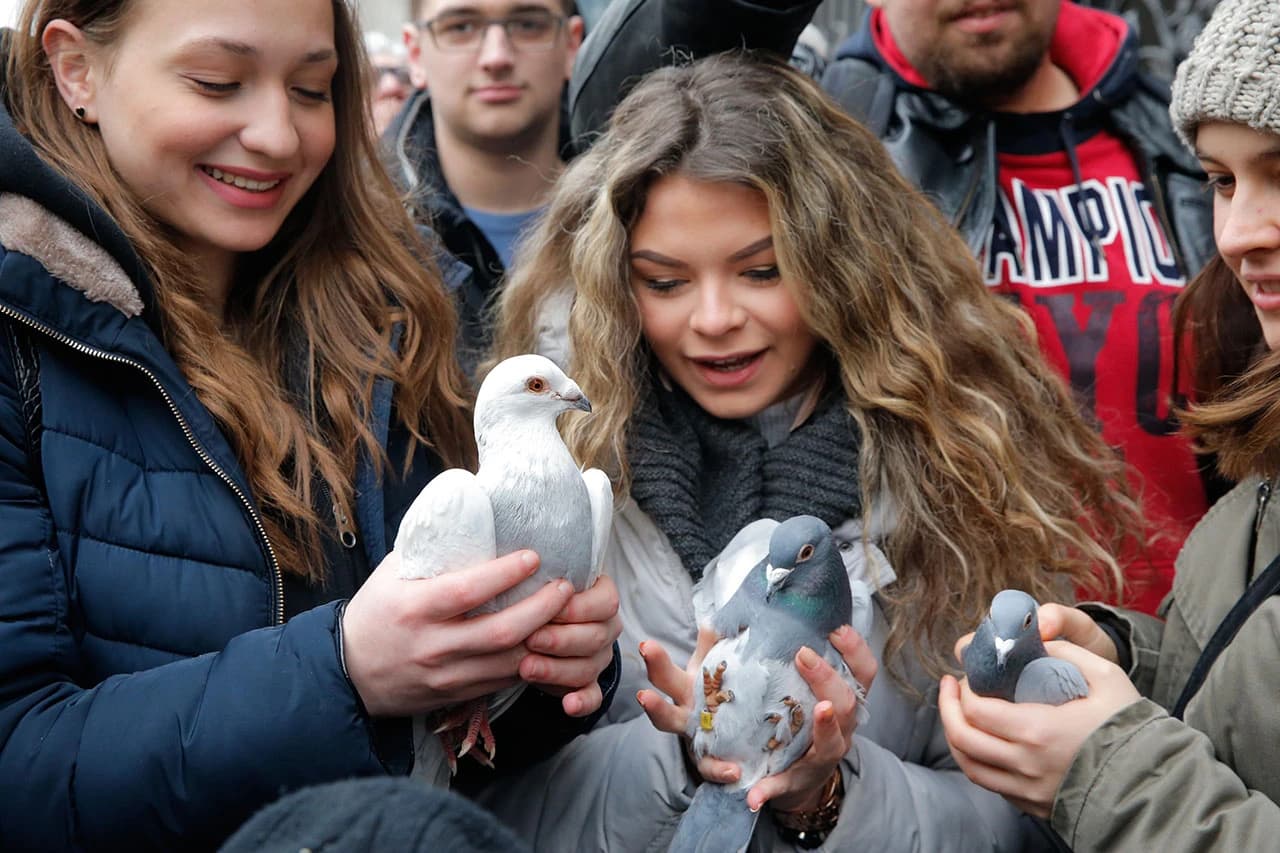 Simboličnim puštanjem 36 golubova počelo otvaranje Sarajevske zime