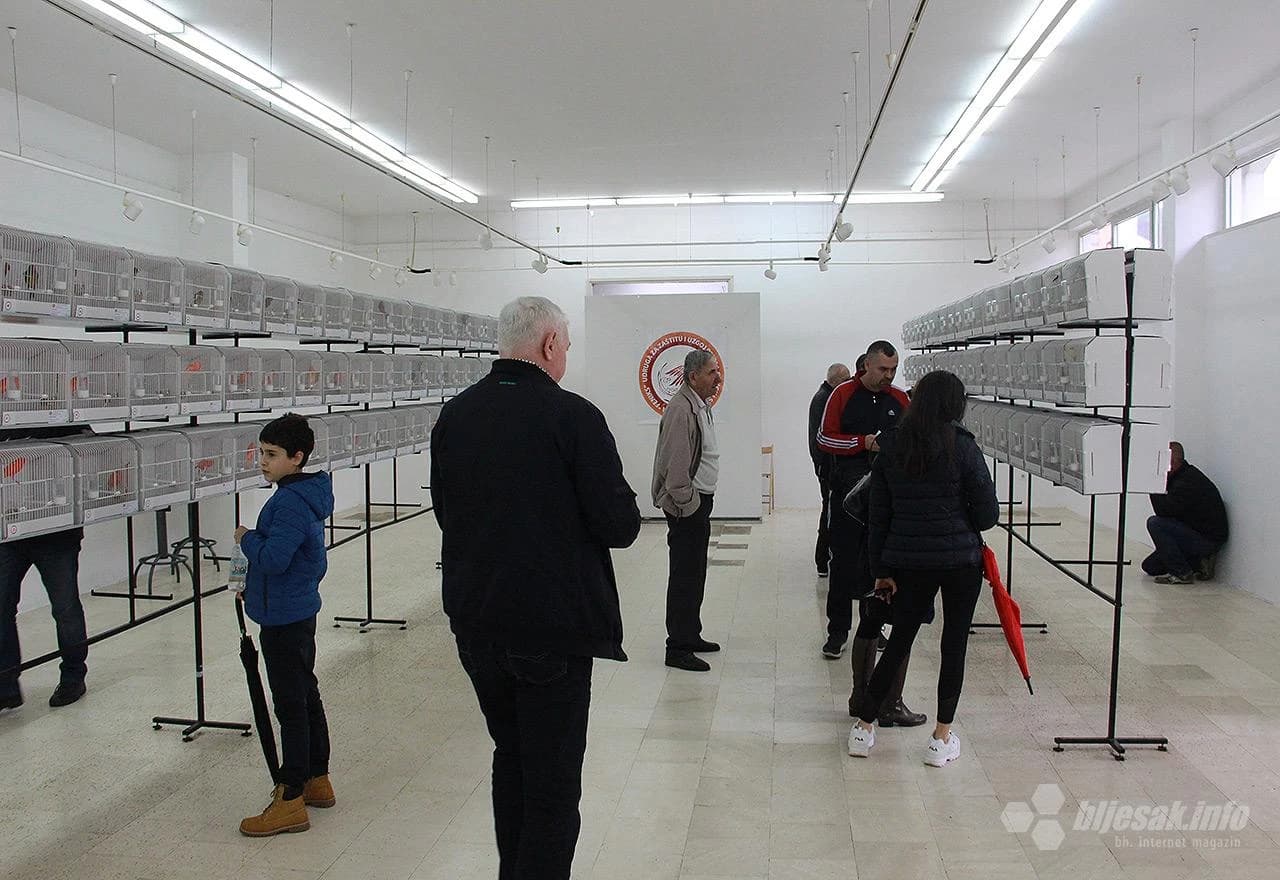 Detalj s 1. ornitološke izložbe ptica u Mostaru