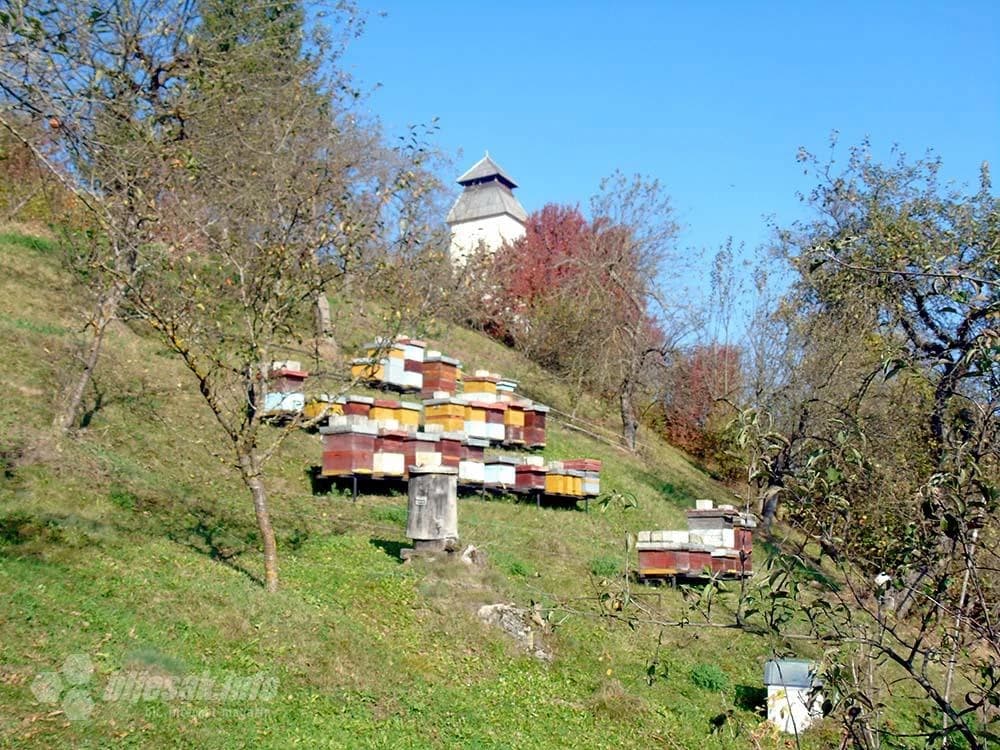 …i pčelice maje i eto te…