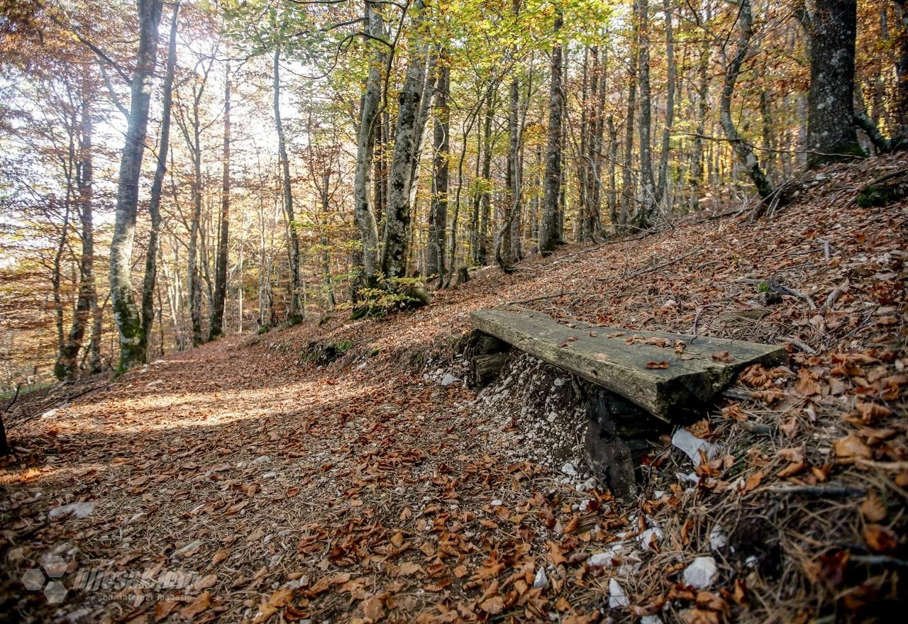 Jesenja idila na Rujištu