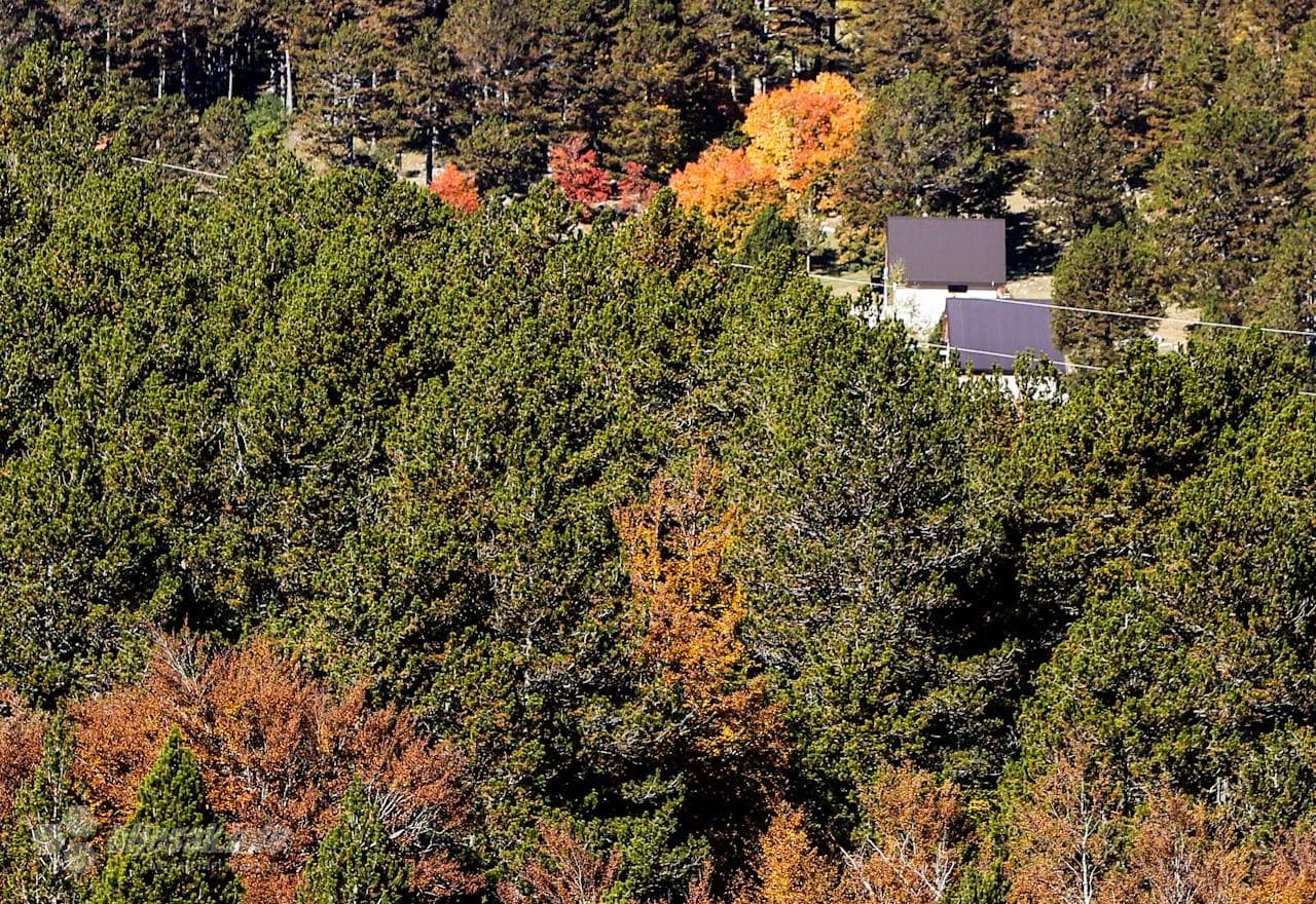 Jesenja idila na Rujištu