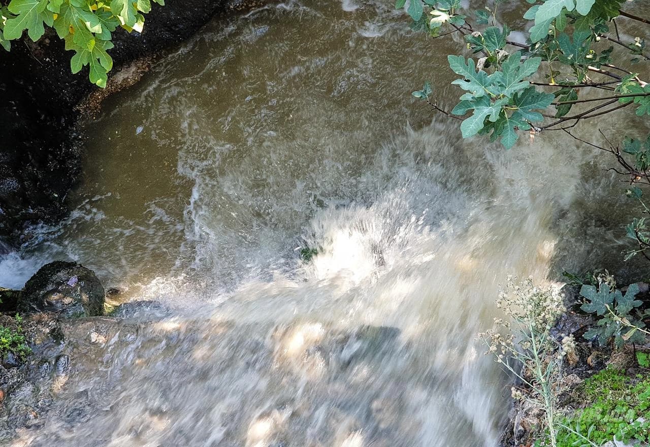 Što li mi se Radobolja muti?