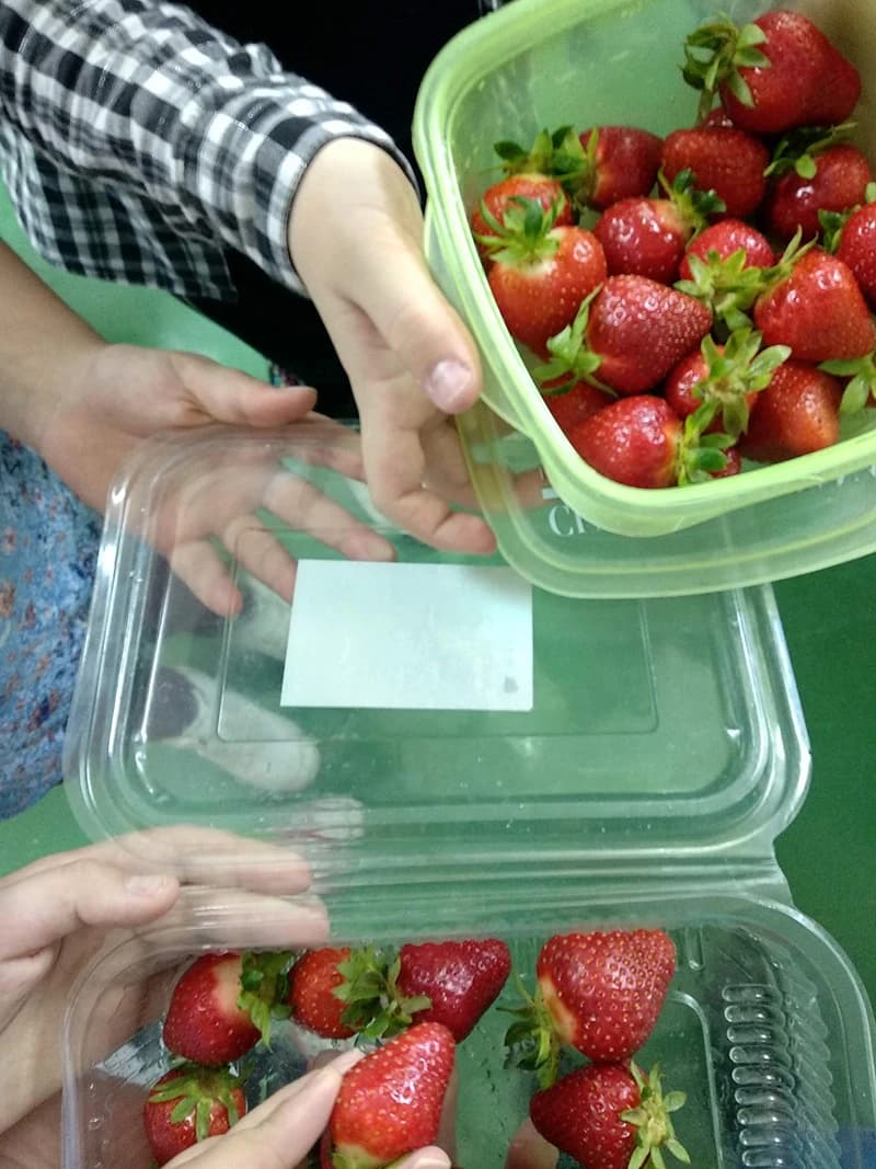 Školske užine trebaju biti sastavljene od kvalitetnih namirnica