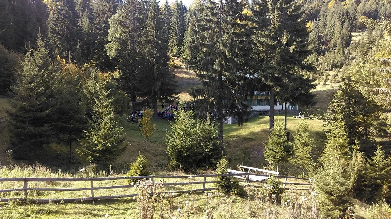 Cimski školarci planinarili Putevima kraljice Katarine