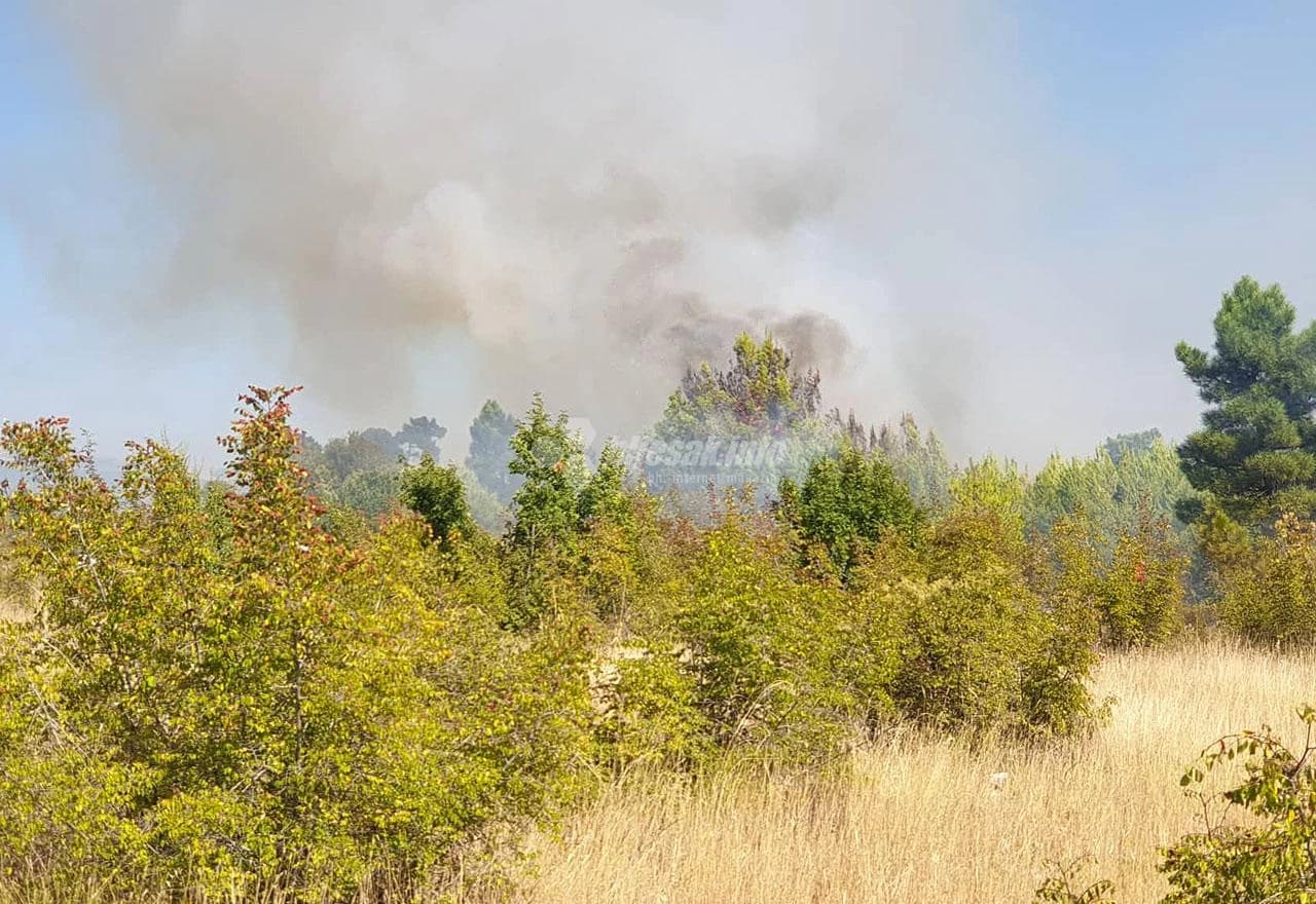 Požar na Bivoljem Brdu