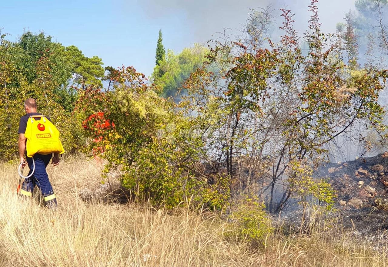 Požar na Bivoljem Brdu