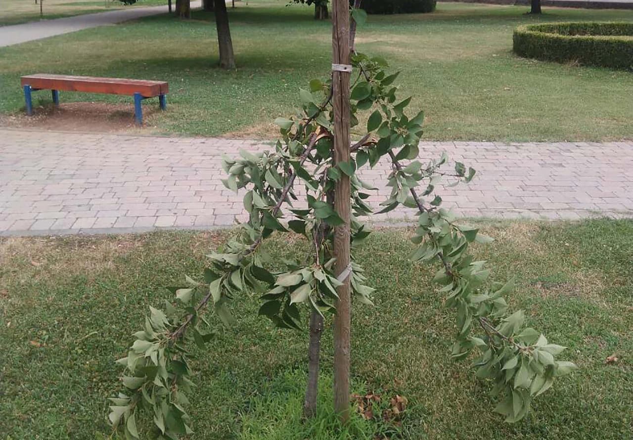 Dobrodošlica u mostarskom parku Zrinjevac