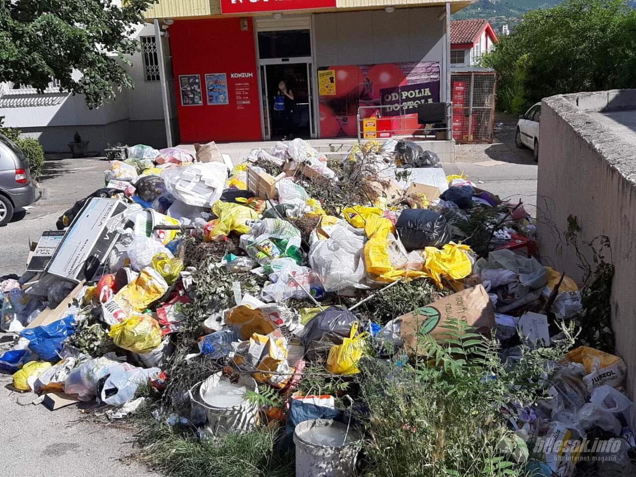 Pretrpani kontejneri na Panjevini