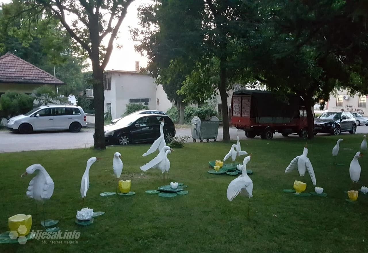 Čapljina: U središtu grada se pojavila močvara