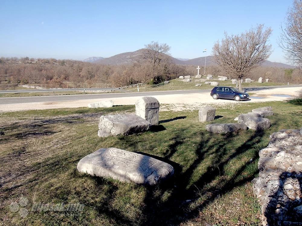 Nekropola sa stećcima kod Ciste Provo