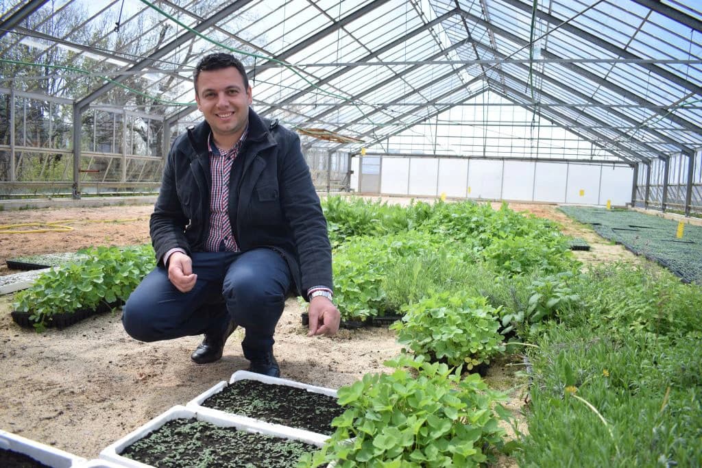 Danas ova kompanija uspješno radi sa sadnicama smilja, ali i drugog ljekovitog bilja.