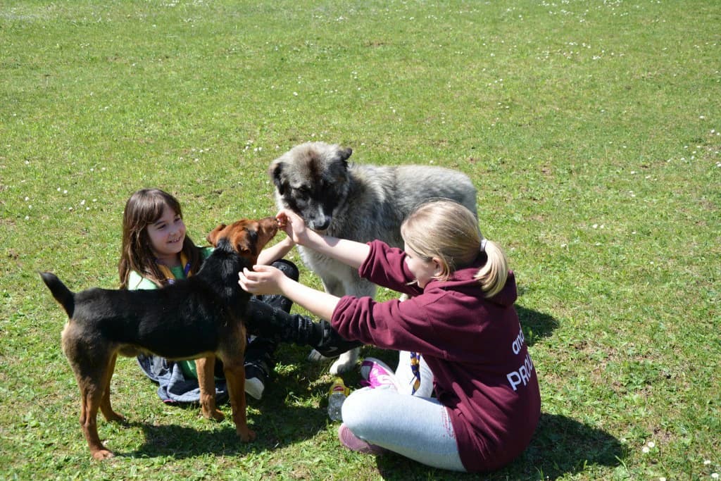 Cjelokupni cilj projekta je promocija zdravlja i prevencija bolesti