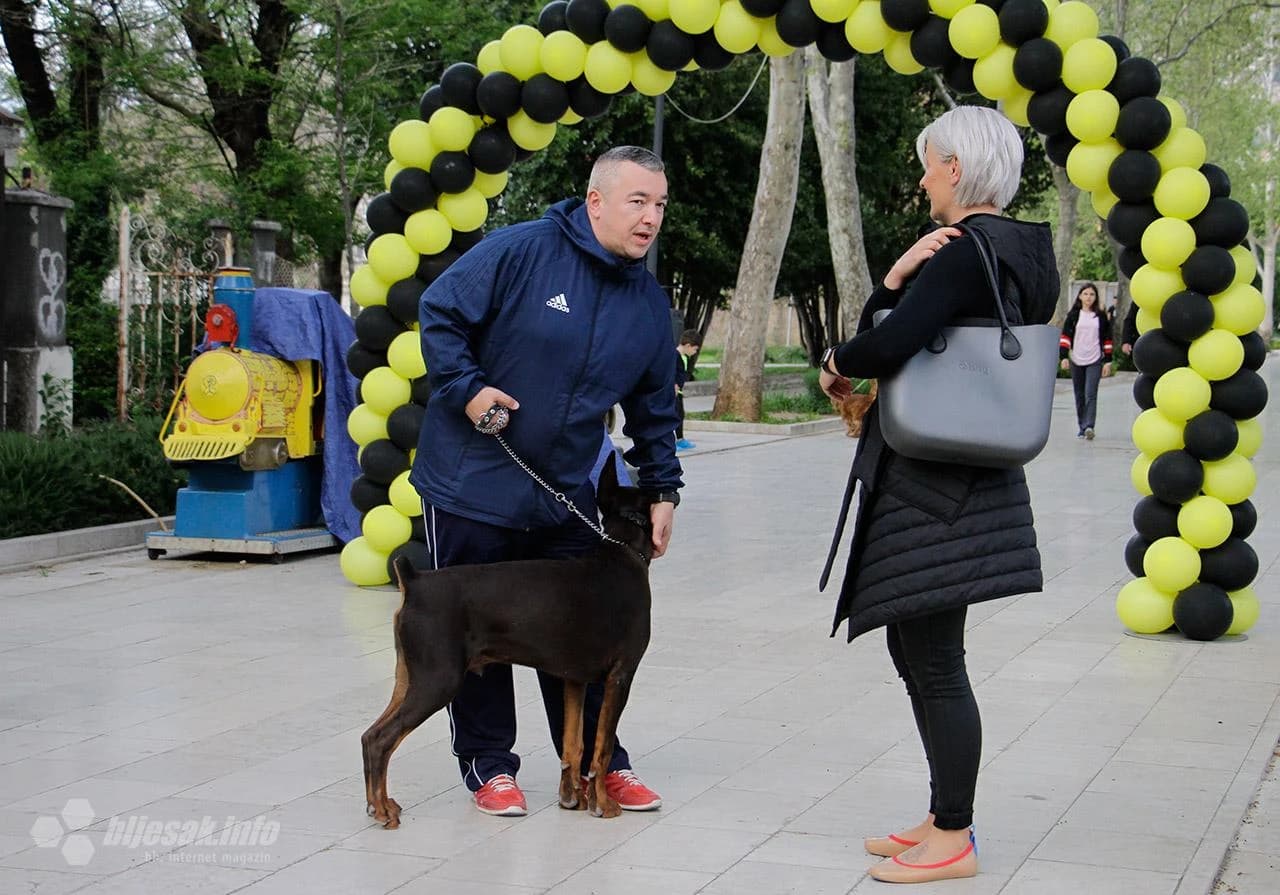 Dogs Trust događaj u Mostaru
