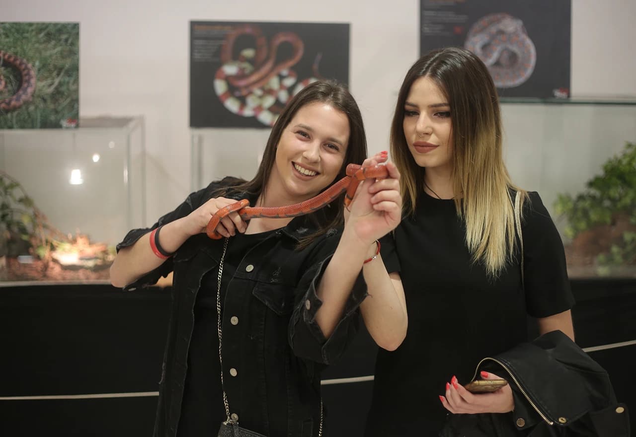 Izložene najotrovnije zmije svijeta