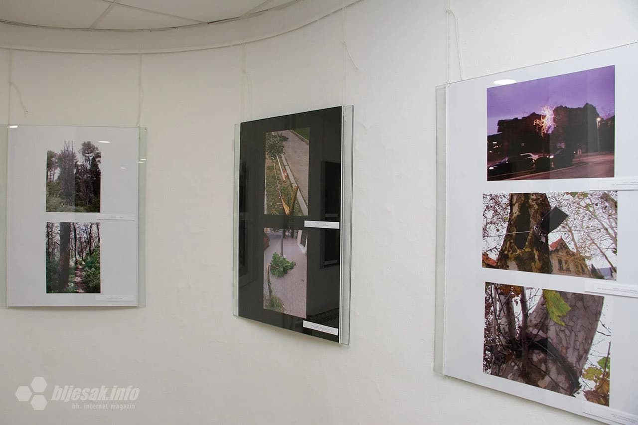 Izložba fotografija 'Dendroodium' autora Bojana Spasojevića