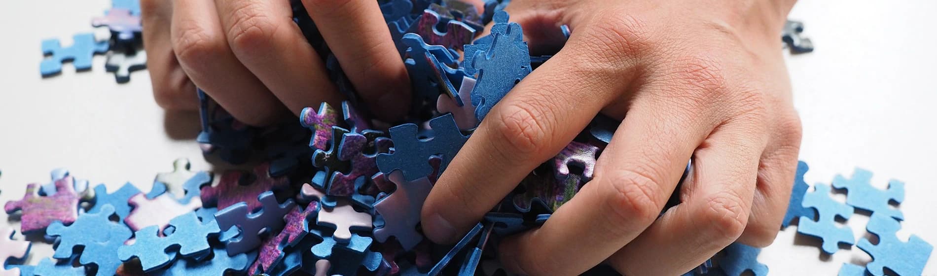 Image by Hans Braxmeier from Pixabay