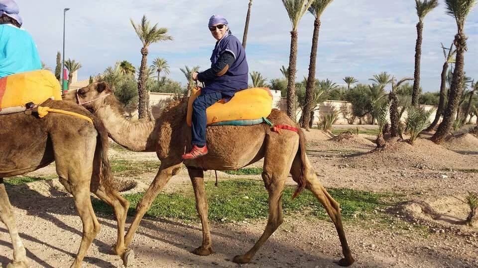 Ako je prijevozno sredstvo egzotično, onda neka se zove Shakira