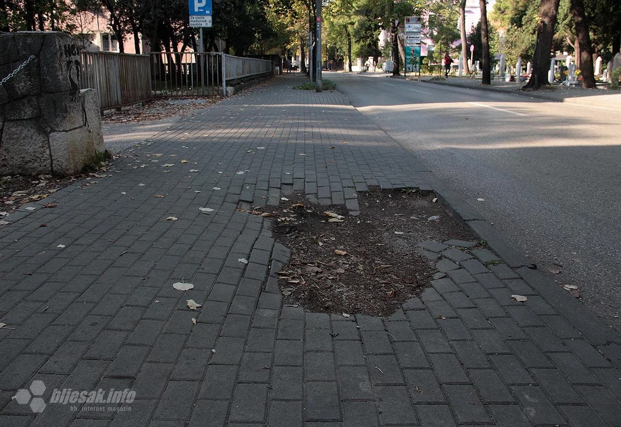 ''Rana'' u Liska ulici