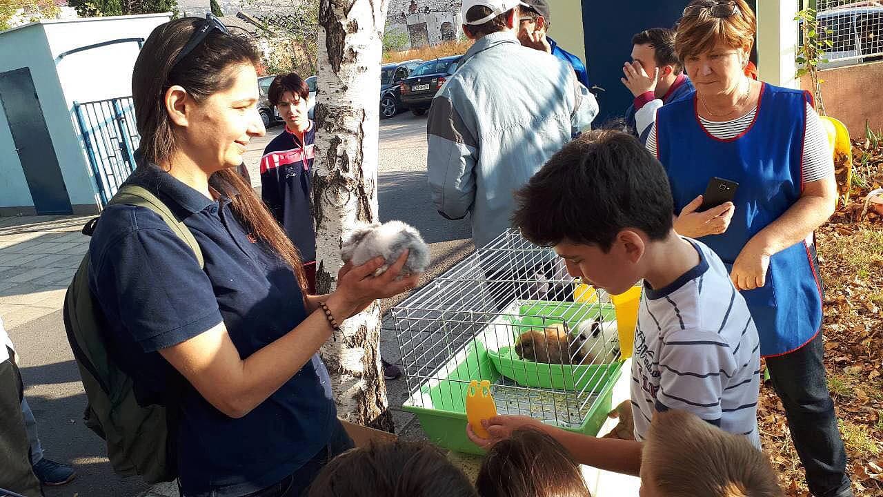 Upoznavanje s kućnim ljubimcima