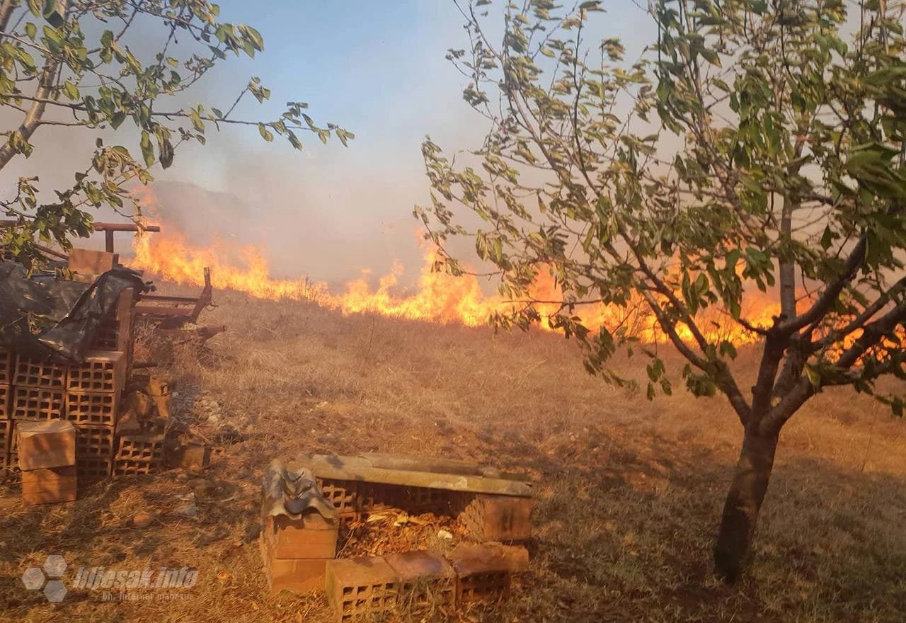 Požar u Rodoču i Jasenici