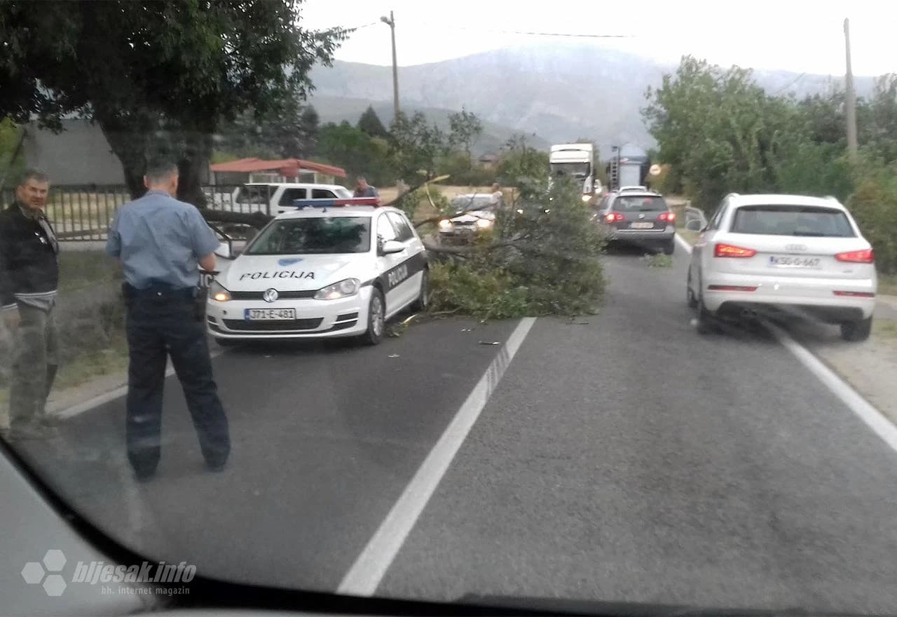 Policajac kraj vozila na koje je palo stablo