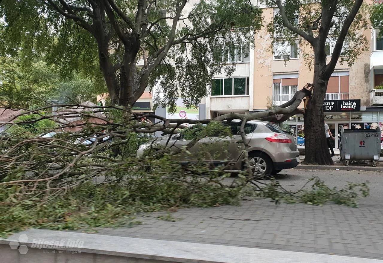 Polomljene grane u Ulici kneza Višeslava