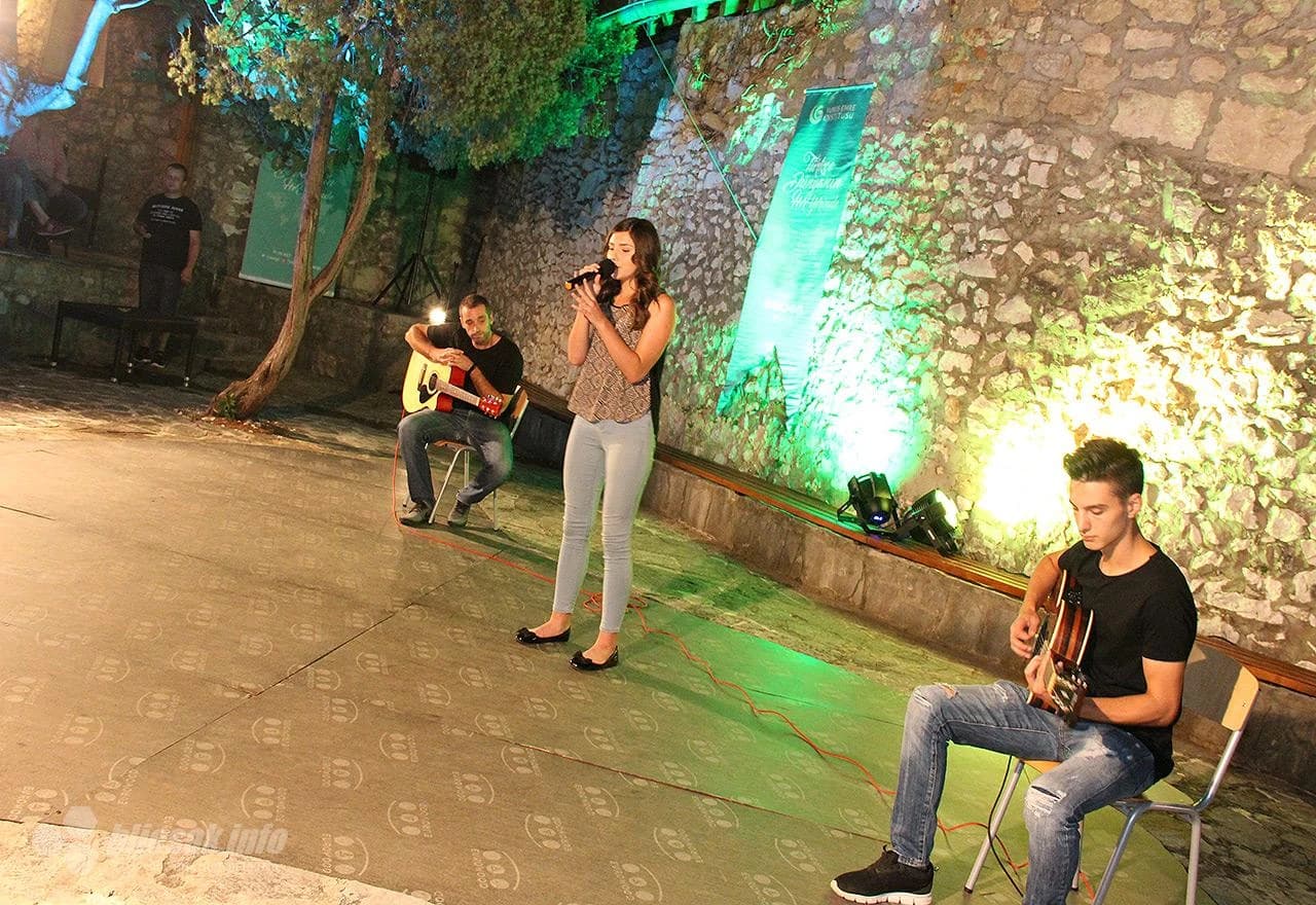 Detalj sa koncerta ansambla Tenelija