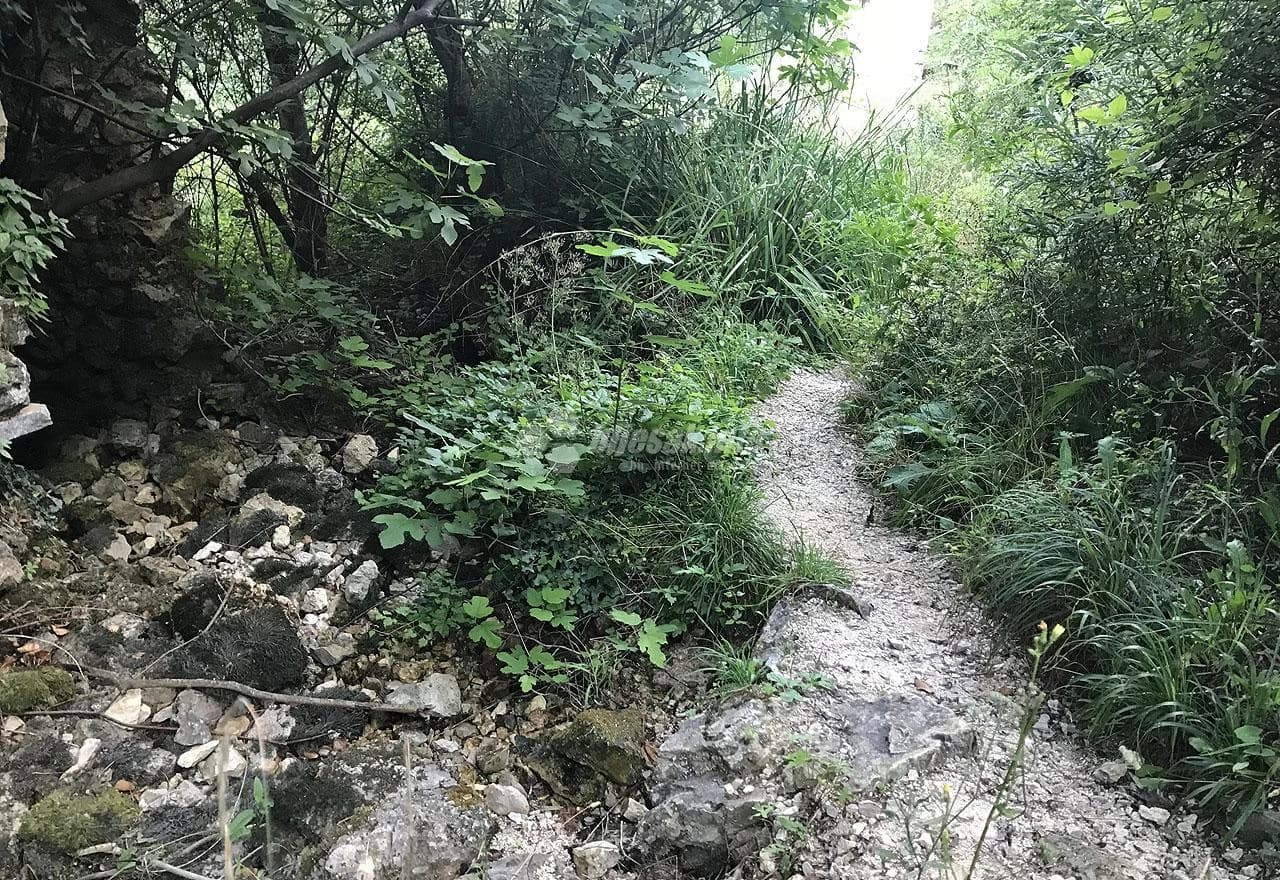 Džungla kod prvih mlinica na ulazu u Borak