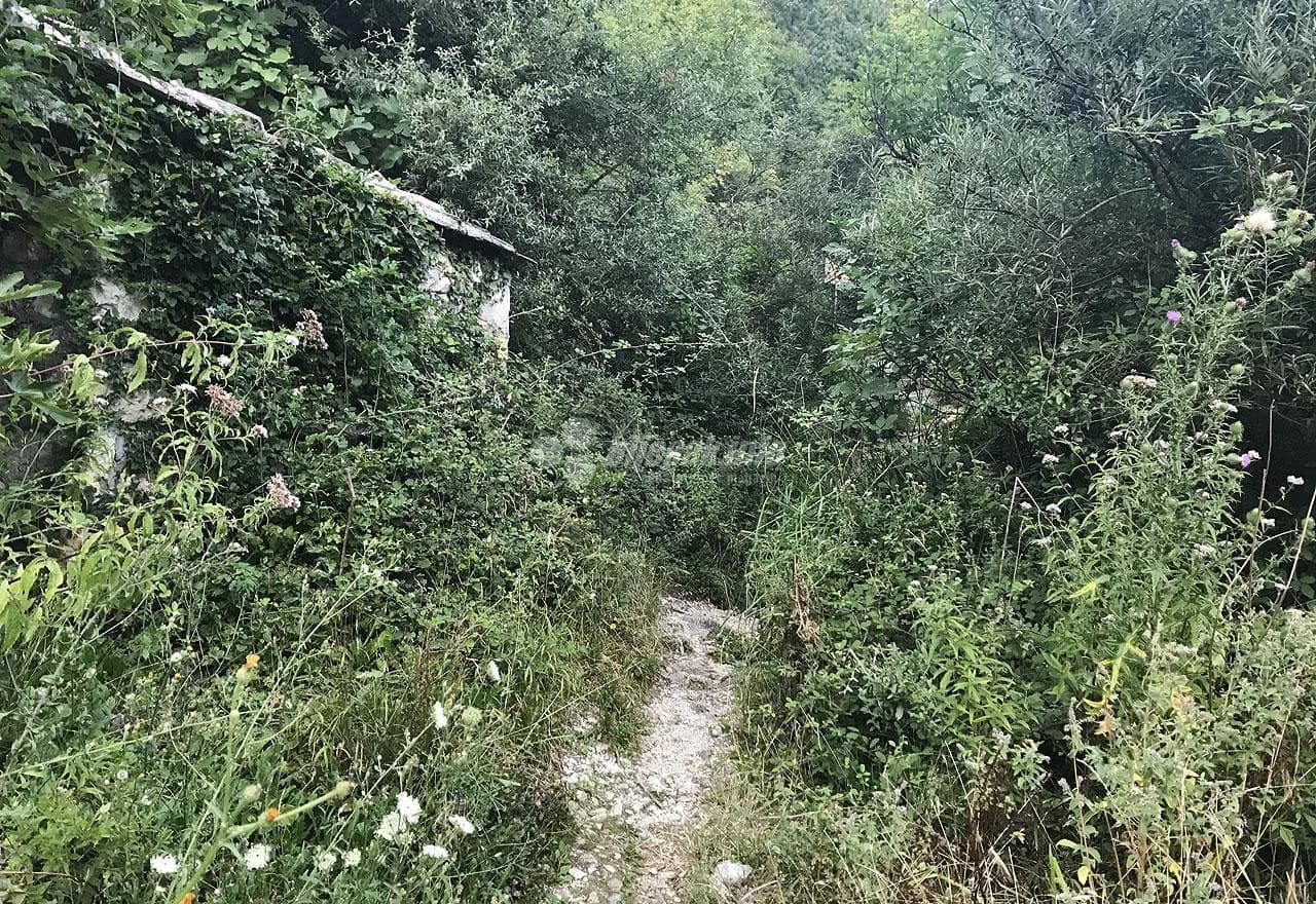 Džungla kod prvih mlinica na ulazu u Borak