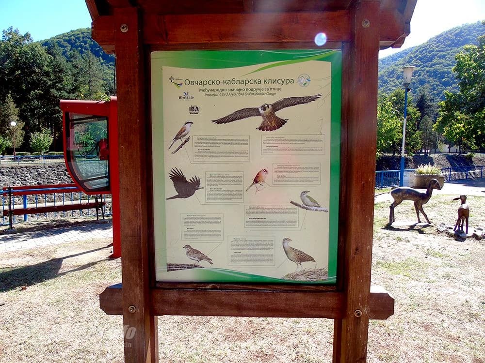 Ptičji svijet Ovčar Banje...