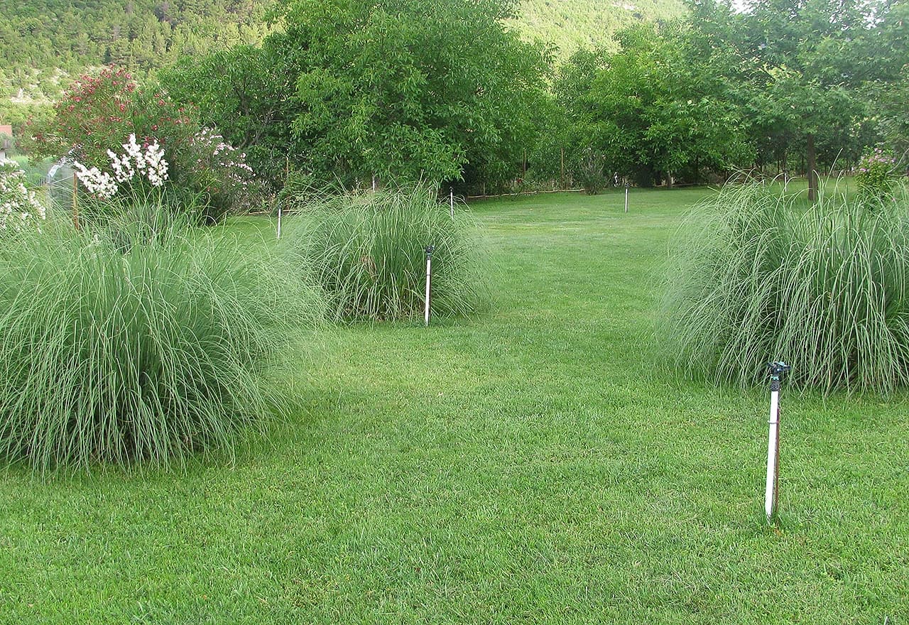 Okoliš župne crkve