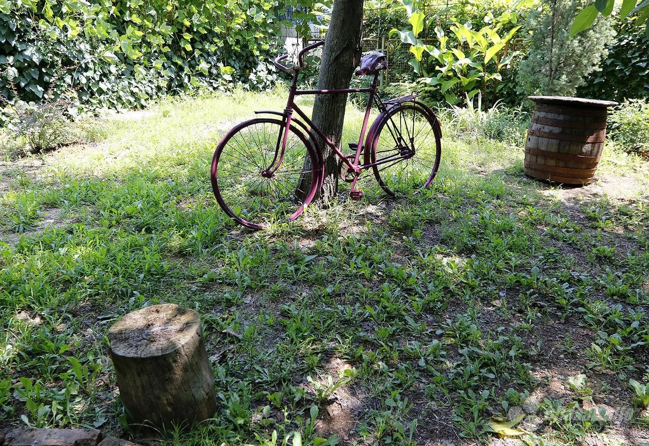 Zanimljiv detalj iz vrta