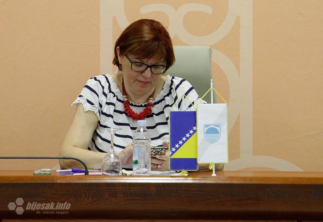 Predstavljanje poslovnih ideja u Vijećnici