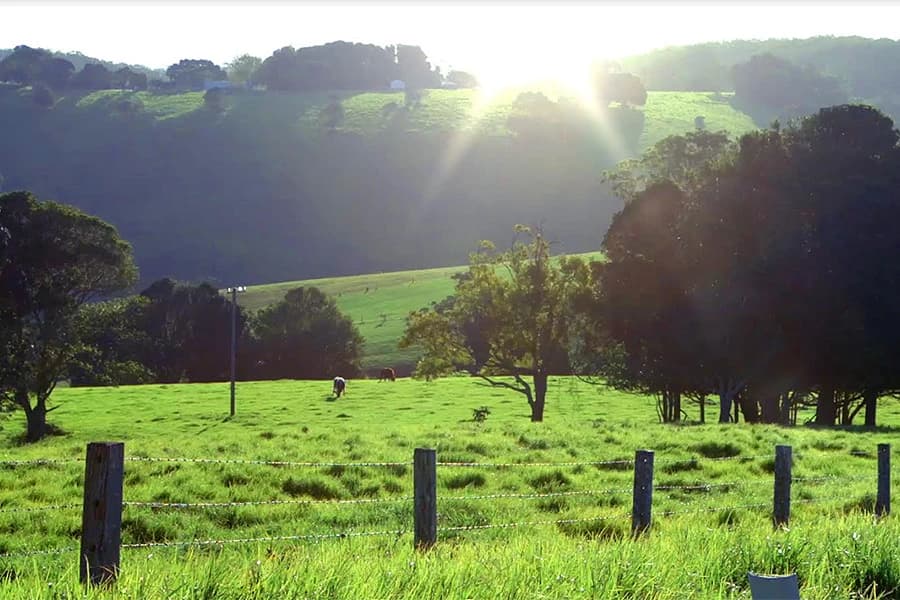 Meggle prelazi na digitalni proces otkupa sirovine