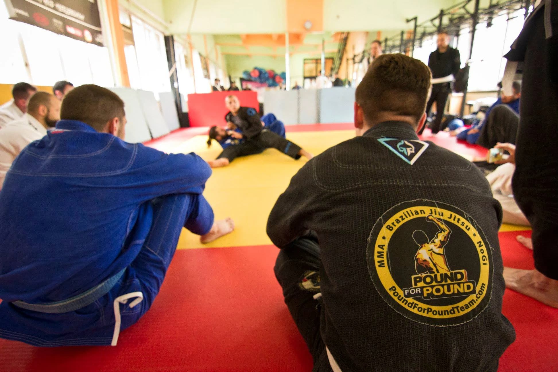 Sarajevski BJJ seminar