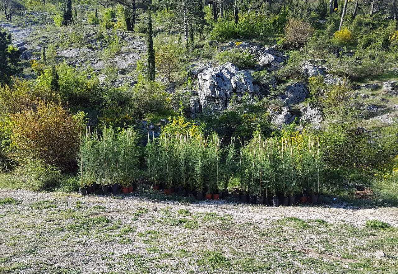 Čišćenje kule u Blagaju