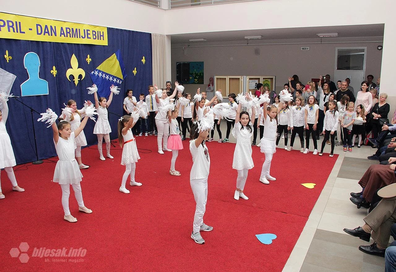 Obilježavanje Dana ABiH u O.Š. Zalik