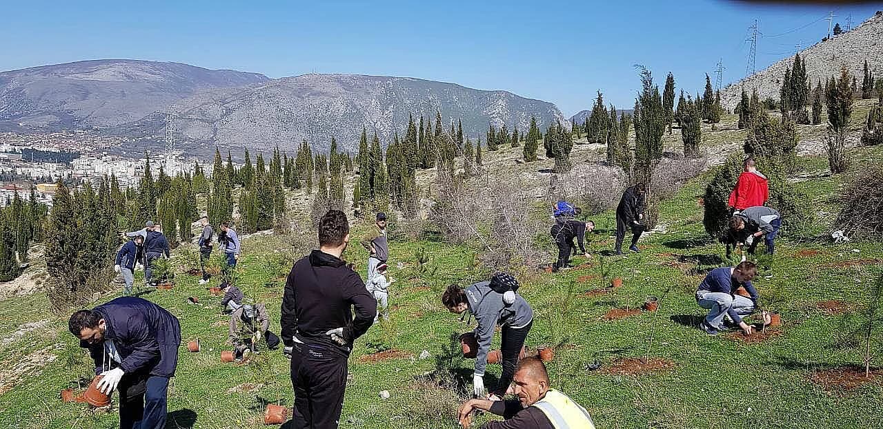  Pošumljavanje brdskog platoa