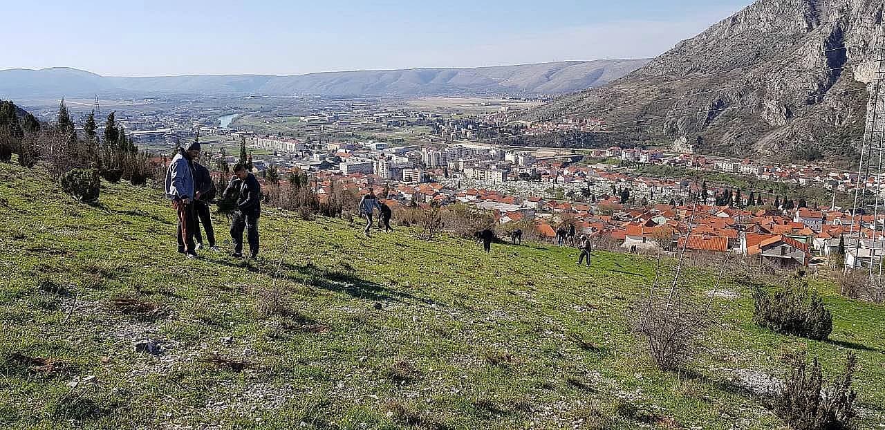  Pošumljavanje brdskog platoa