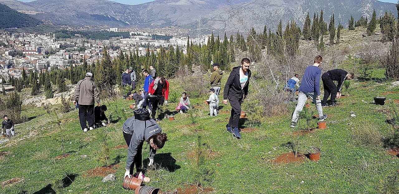  Pošumljavanje brdskog platoa