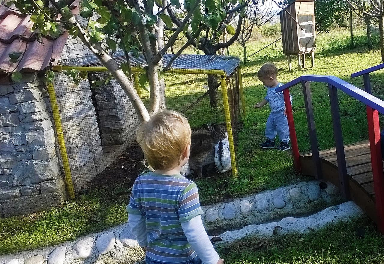 Uživanje sa životinjama